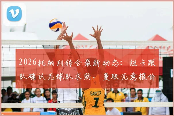 2026托纳利转会最新动态：纽卡跟队确认无球队求购，曼联无意报价，深度分析球员未来去向