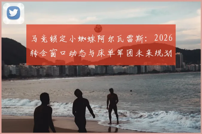 马竞锁定小蜘蛛阿尔瓦雷斯：2026转会窗口动态与床单军团未来规划详解