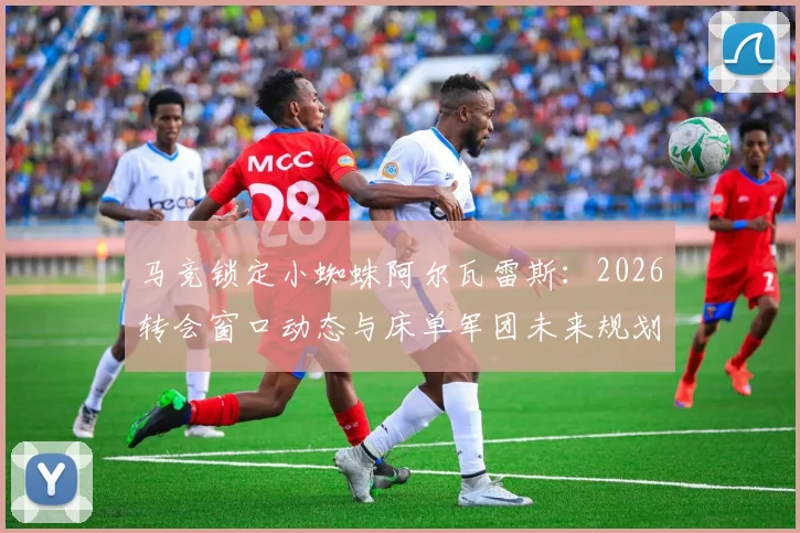 马竞锁定小蜘蛛阿尔瓦雷斯:2026转会窗口动态与床单军团未来规划详解